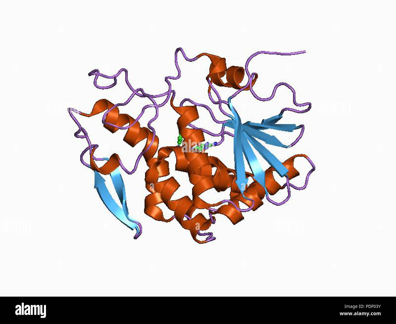 14 PDB 1Br6 EBI Banque D'Images