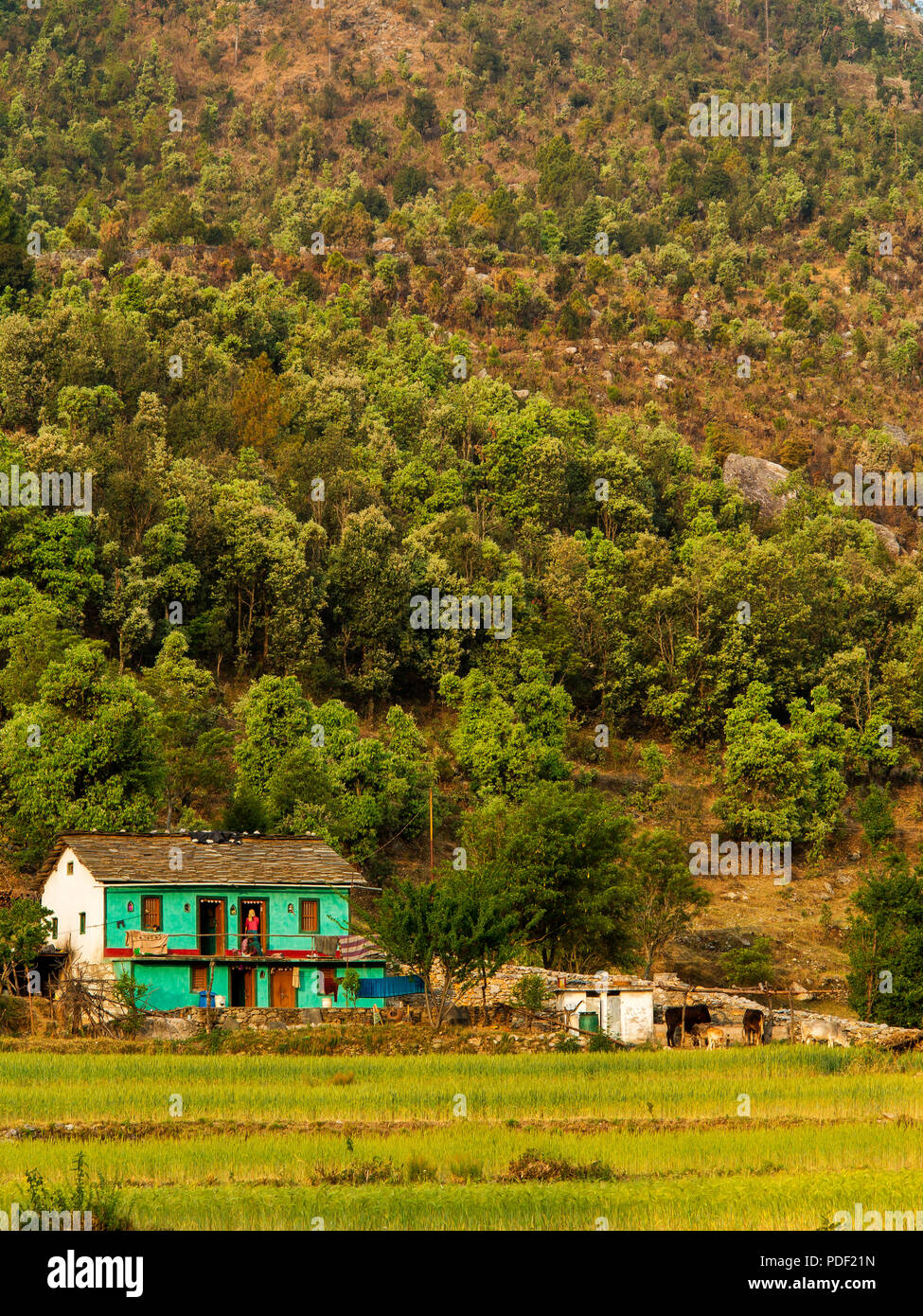 Kala Agar, village collines Kumaon, Uttarakhand, Inde Banque D'Images