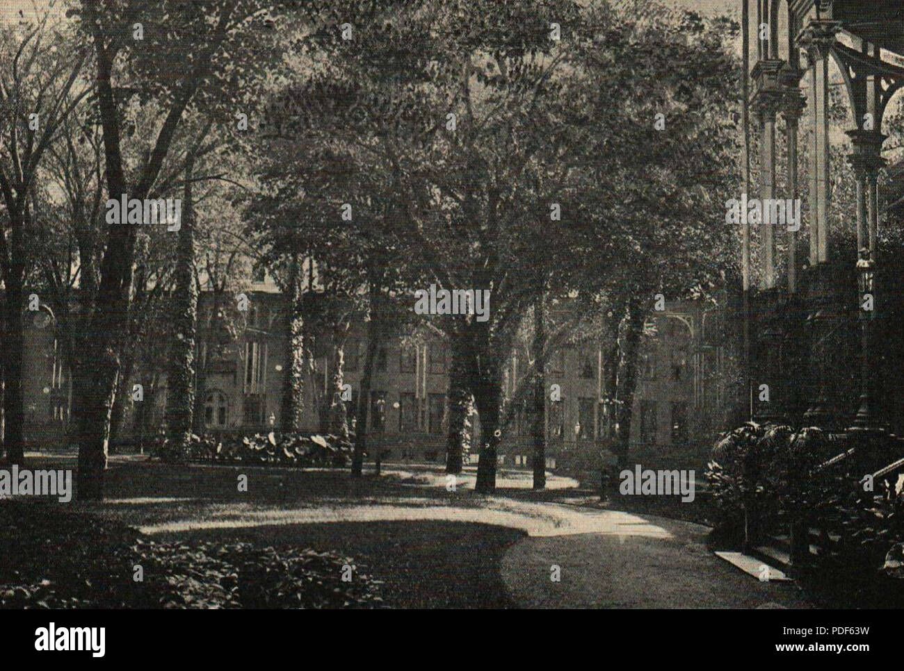 36 BASA-1271K-1-169-7-Saratoga, Californie, 1906 Banque D'Images