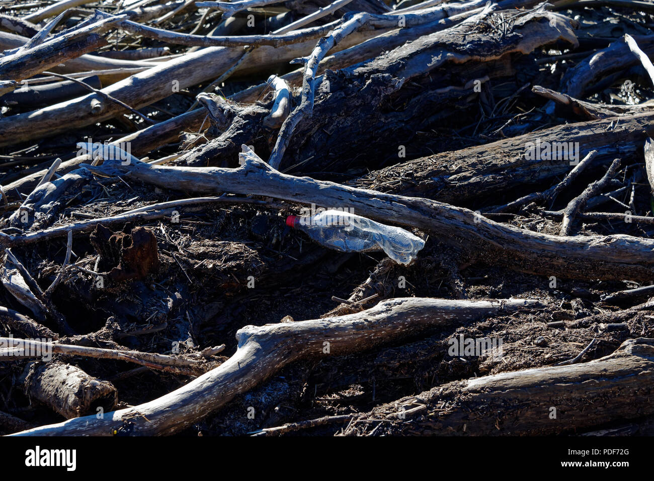 La pollution en plastique en bois flotté, illustrant l'énorme problème de l'environnement est à l'origine en plastique dans nos océans et nos côtes de la mer. Banque D'Images