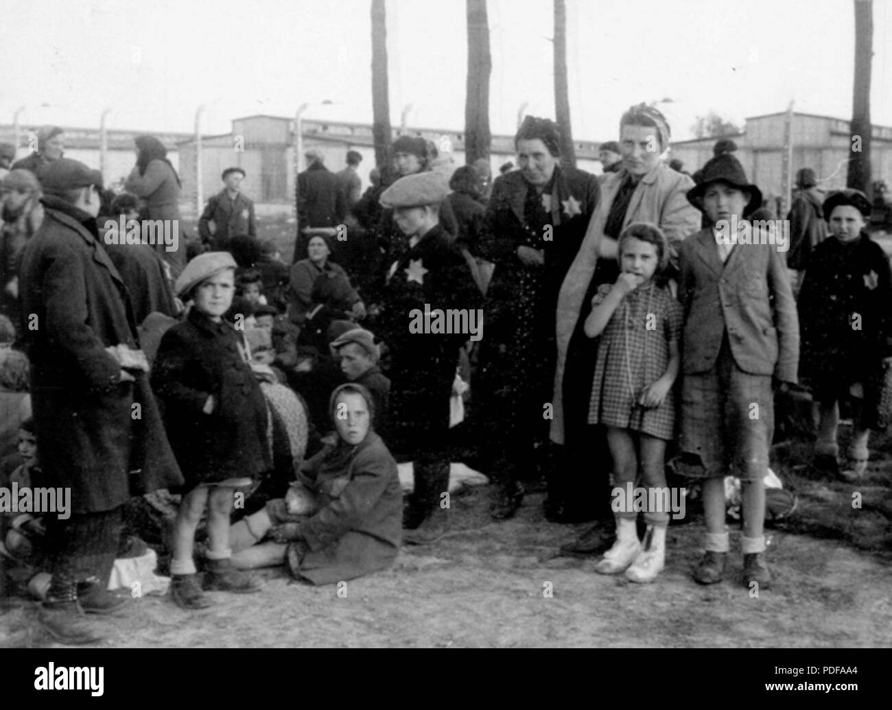 80 Les femmes et les enfants juifs de Birkenau en attente dans un bosquet près de la chambre à gaz n° 4 avant leur extermination Banque D'Images