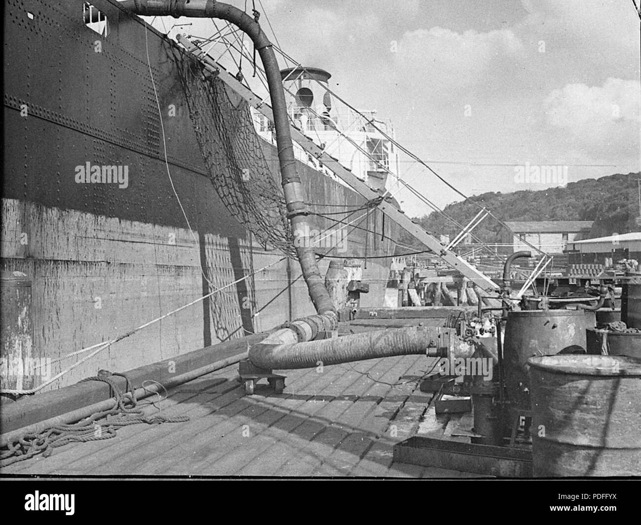 158 36852 SLNSW Co Shell Gore Bay Banque D'Images