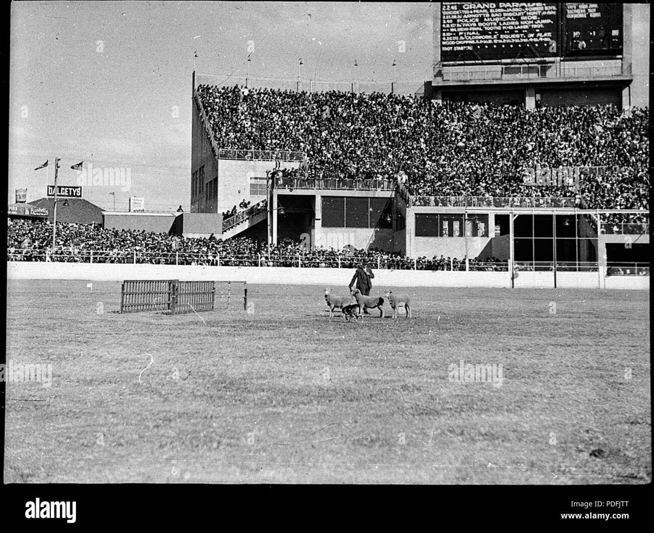 163 SLNSW Berger 456248 Royal Easter Show Banque D'Images