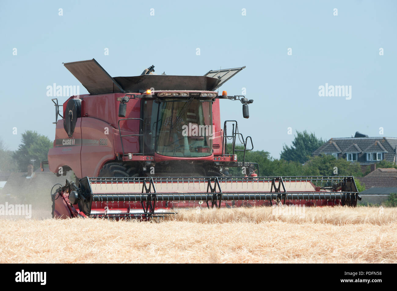 Une coupe de moissonneuse-batteuse dans un champ d'orge de printemps à Hayling Island, Hampshire, Royaume-Uni Banque D'Images