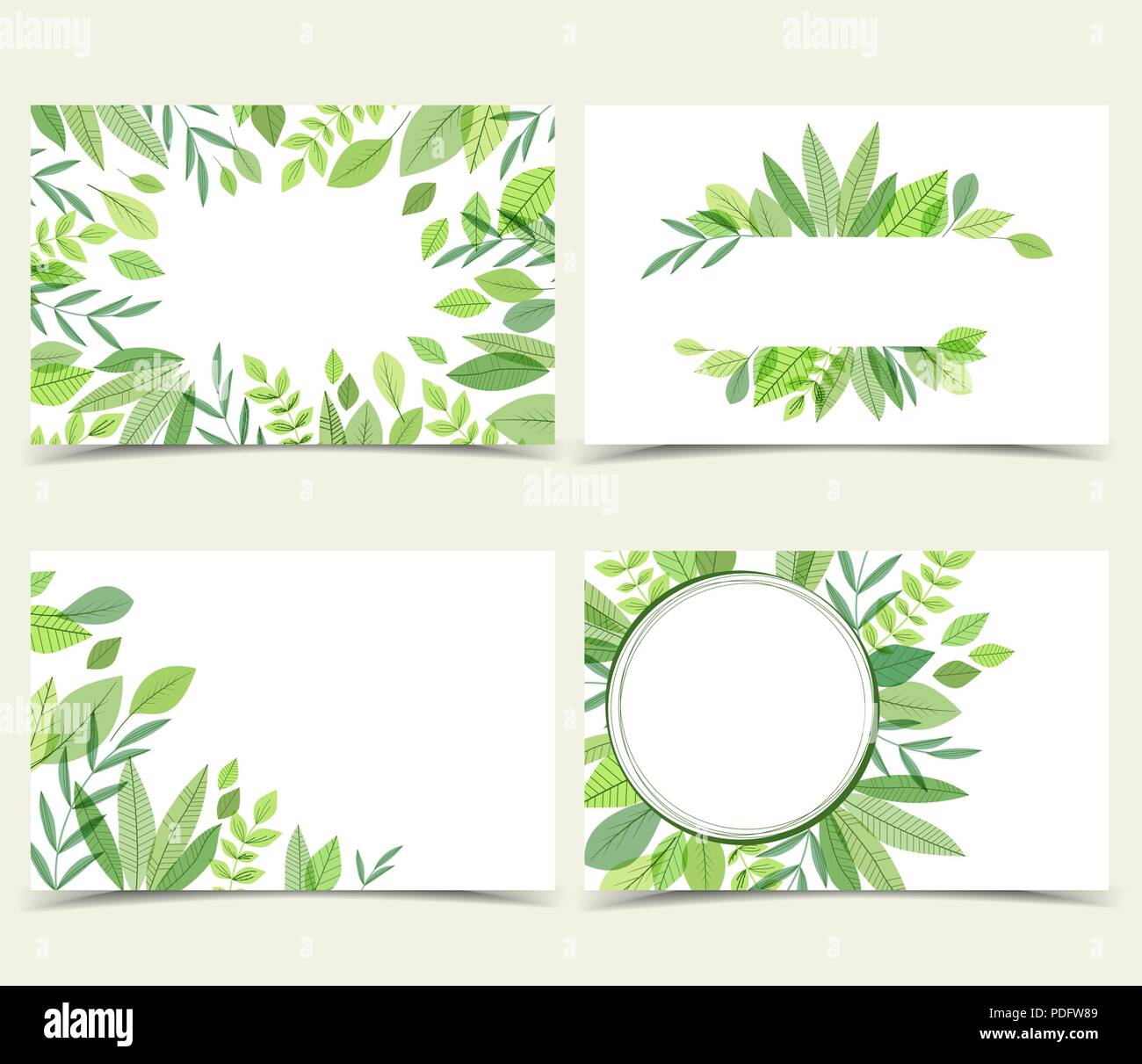 Naturel vecteur cartes d'affaires. Feuilles vert décorations Illustration de Vecteur