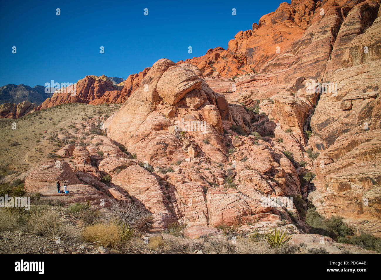 Red Rocks Calico dans le Red Rock Canyon National Conservation Area, Nevada Banque D'Images
