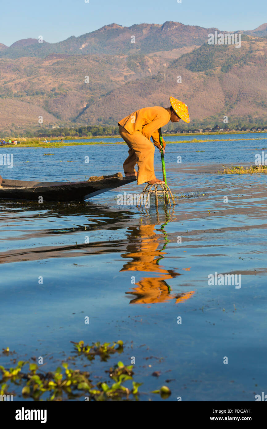 En février, Intha Leg rameur pêcheur à Shan State, Inle Lake, Myanmar (Birmanie), Asie Banque D'Images