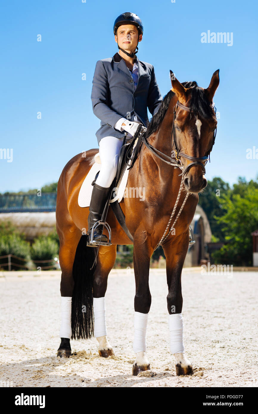Jeune cavalier prometteur la préparation à un concours Banque D'Images