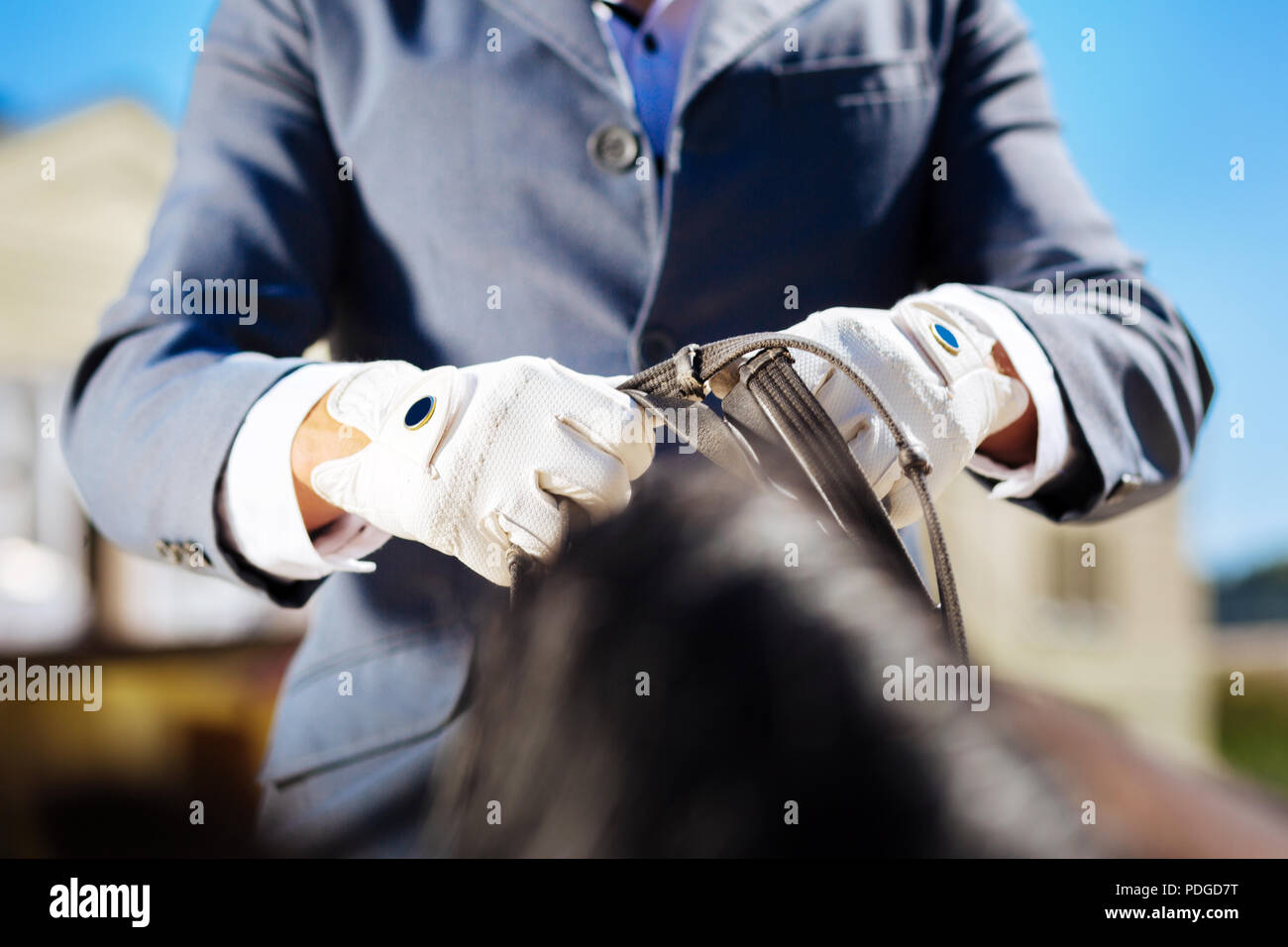 Porter des gants bleu sportif étant prêt pour l'équitation Banque D'Images