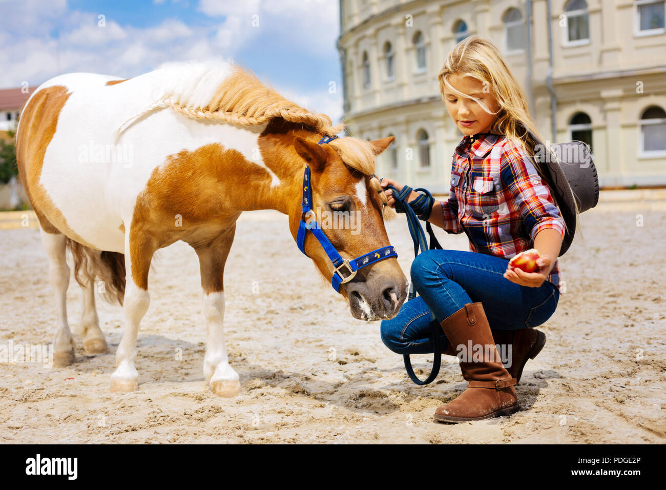 Cute girl portant des bottes d'équitation en cuir marron cheval  alimentation Photo Stock - Alamy
