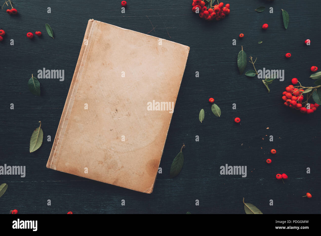 Mise à plat vintage livre relié, vue supérieure avec de petits fruits sauvages arrangement decoarative Banque D'Images