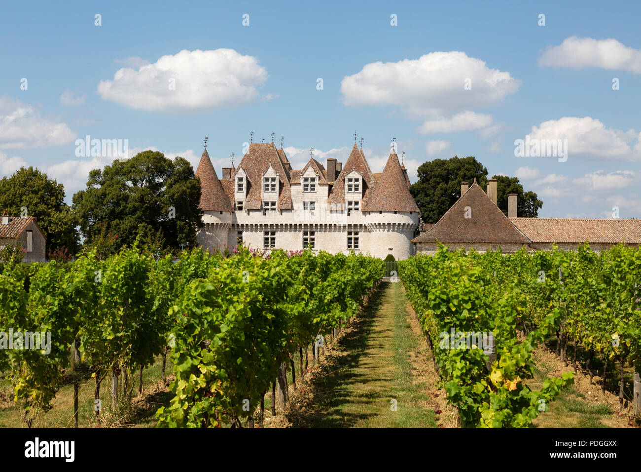 Château de Monbazillac et de vignobles, d'un vignoble dans la région de la Dordogne Bergerac, Monbazillac, Bergerac, Dordogne, France Europe Banque D'Images