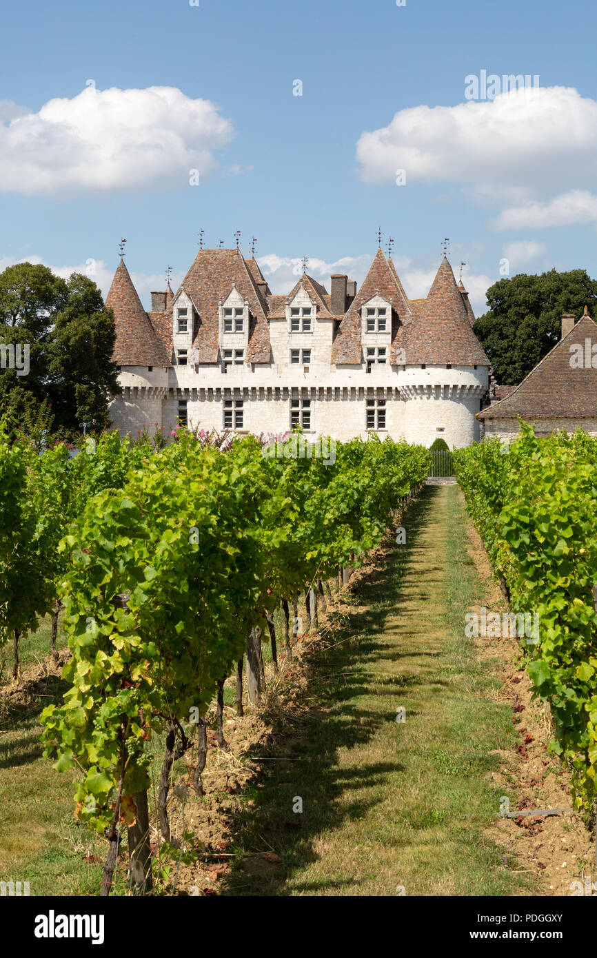 Château de Monbazillac et de vignobles, d'un vignoble dans la région de la Dordogne Bergerac, Monbazillac, Bergerac, Dordogne, France Europe Banque D'Images