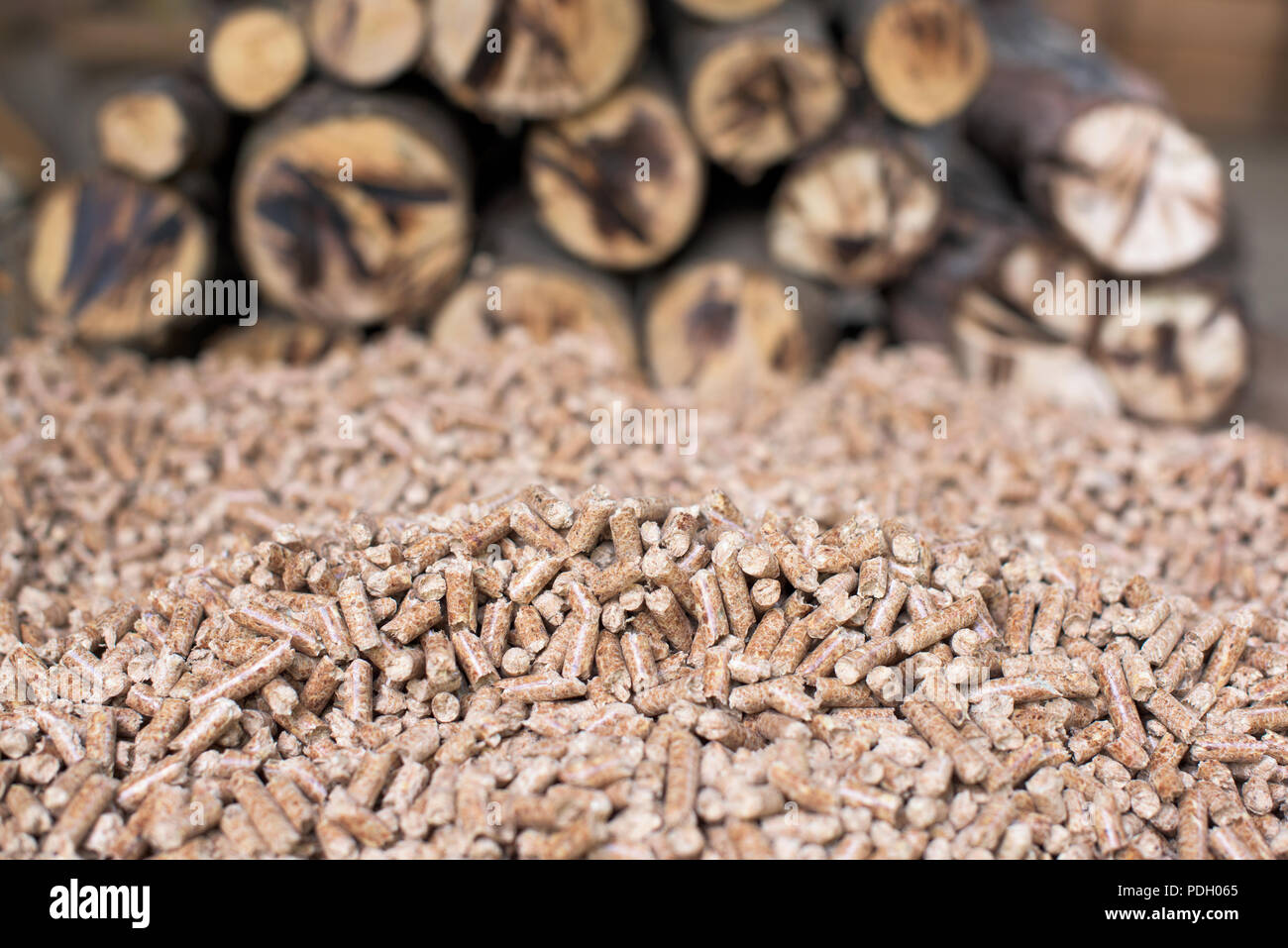 Pile de matériaux renouvelables biomasse - bois Banque D'Images