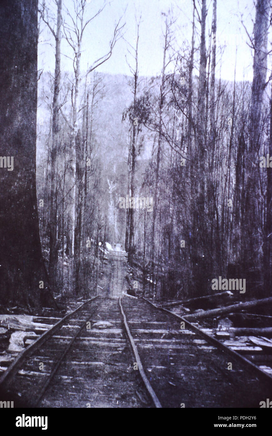 98 transport raide Powelltown Banque D'Images