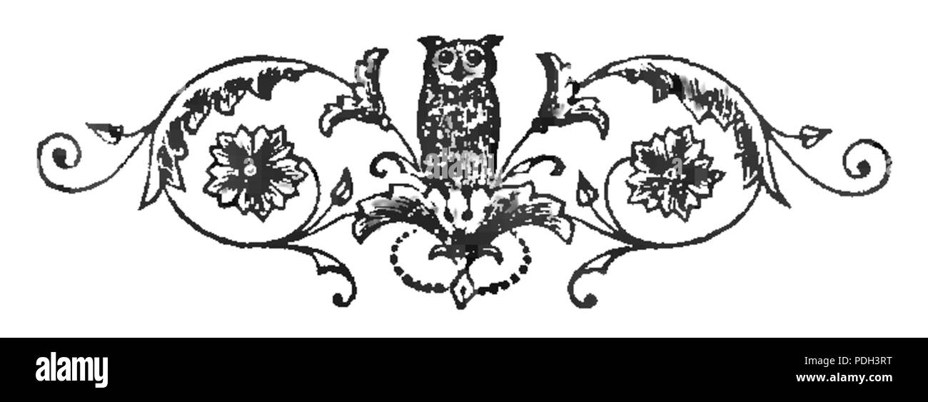 263 PL Juliusz Verne - Radomsko Indje page 104 Banque D'Images