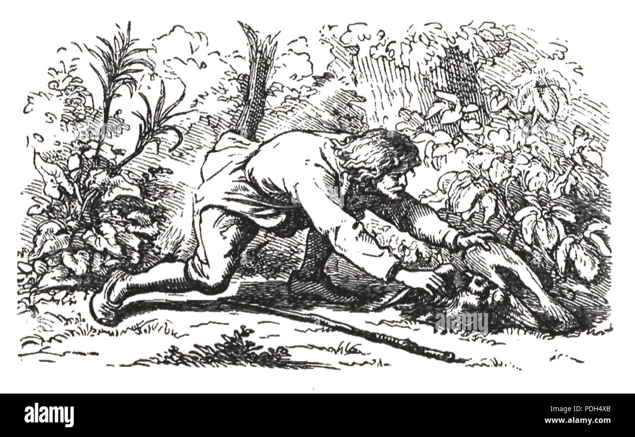 274 Przypadki Kruzoe Robinsona page 0113 Banque D'Images