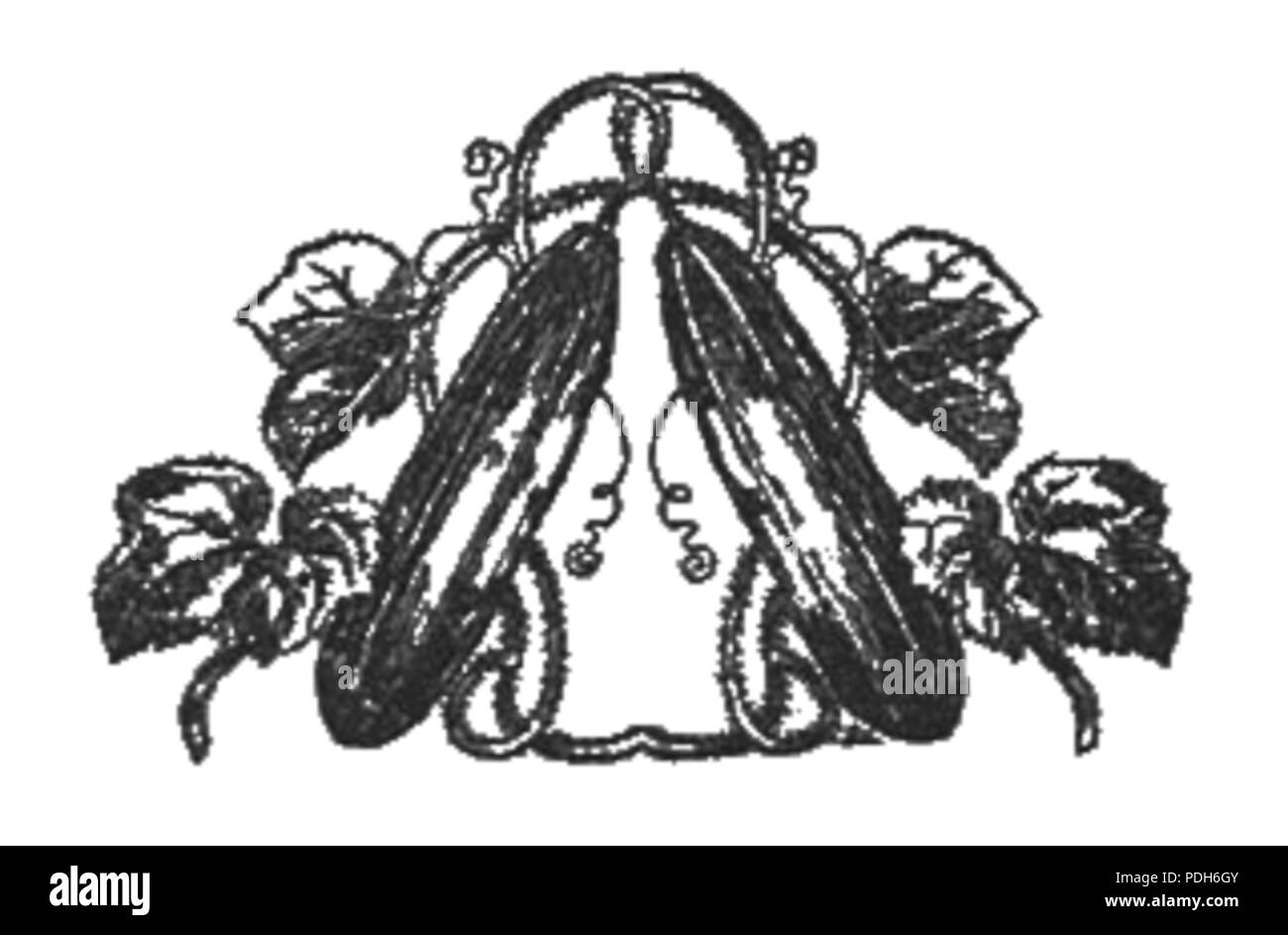 J'Sałaty sałatki 293 page12 Banque D'Images