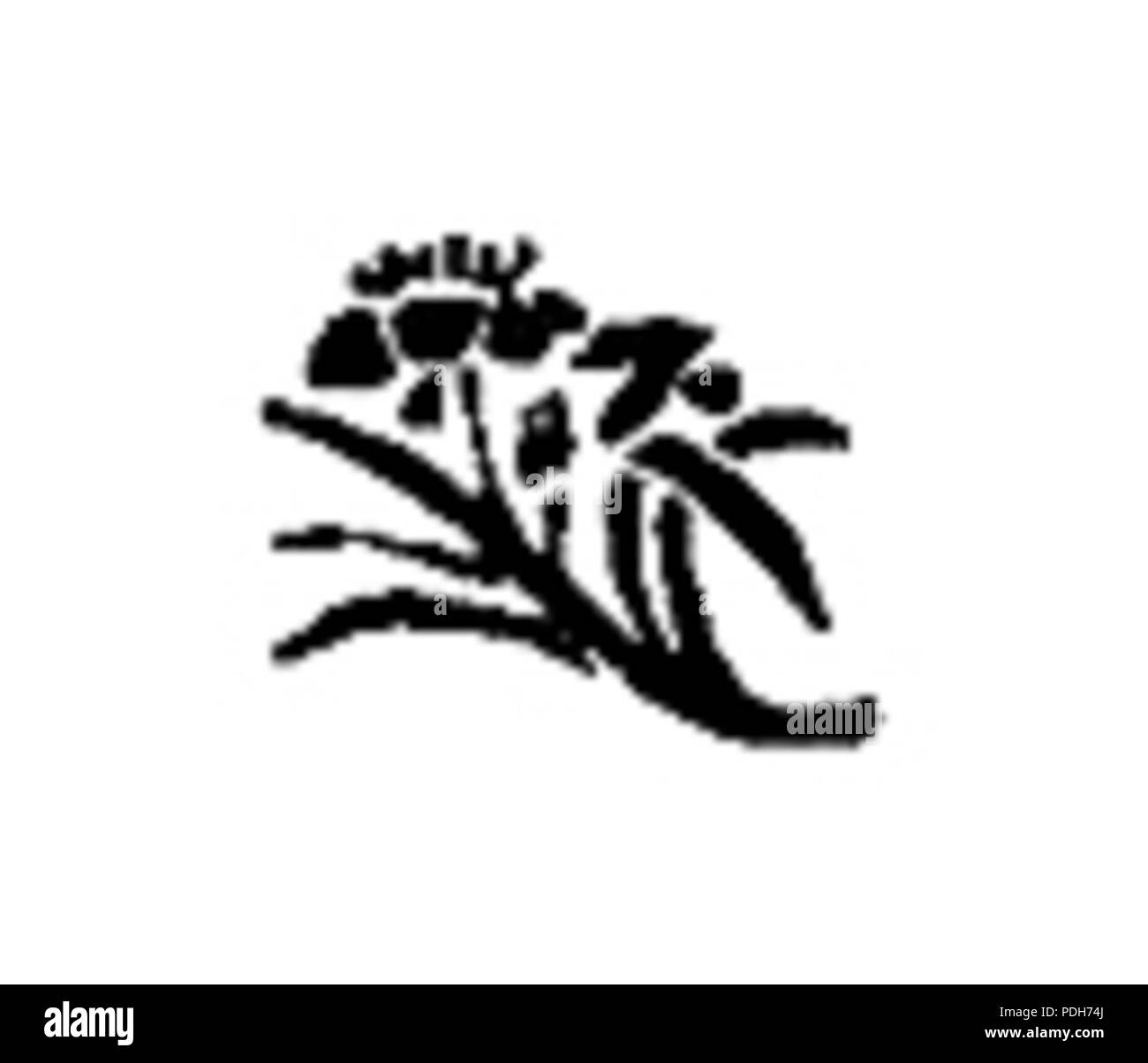 Sieroszewski wulkanach Japonji 295 Na p32 Banque D'Images