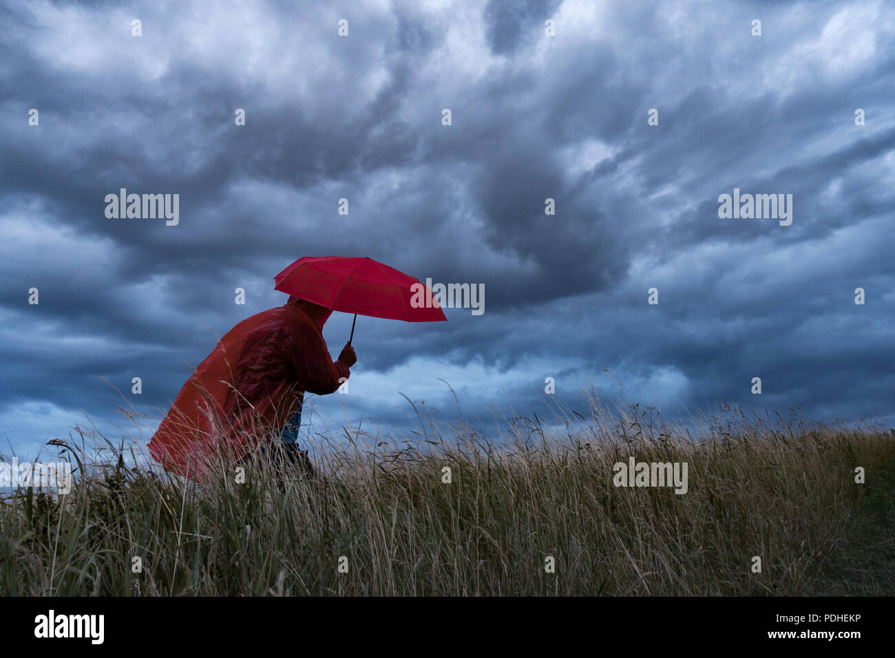 Un homme perd son parapluie sur un jour de tempête en Angleterre. UK Banque D'Images
