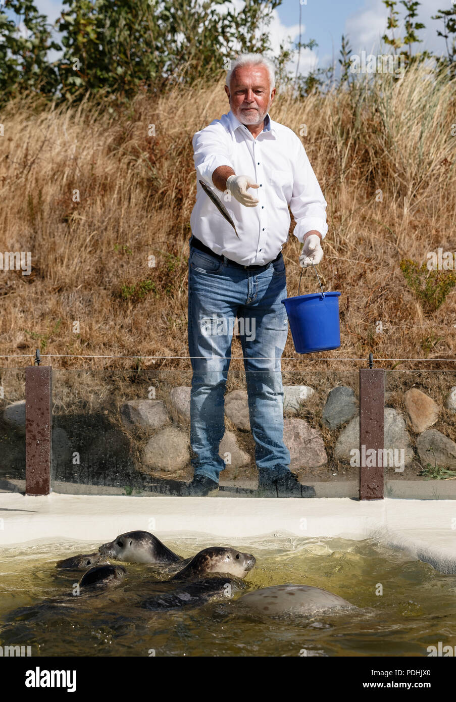 Büsum, Allemagne. 10 Oct, 2018. Wolfgang Kubicki du Parti libéral démocrate (FDP), Vice-président du Bundestag, Wolfgang alimente le joint et ses compagnons à la piscine station Friedrichskoog, joint d'où qu'il est le parrain. Kubicki a reçu le parrainage du joint pour sa démission de l'état le parlement par des collègues au Parlement. Photo : Markus Scholz/dpa/Alamy Live News Banque D'Images