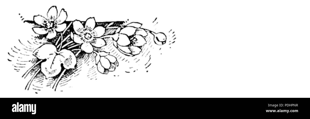 266 Antoniewicza Poezye Karola tom I str 015 2 Banque D'Images