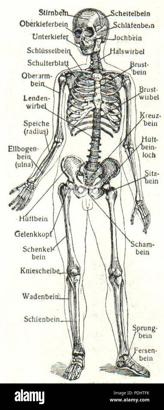 296 Feststellung (Meyers) Banque D'Images