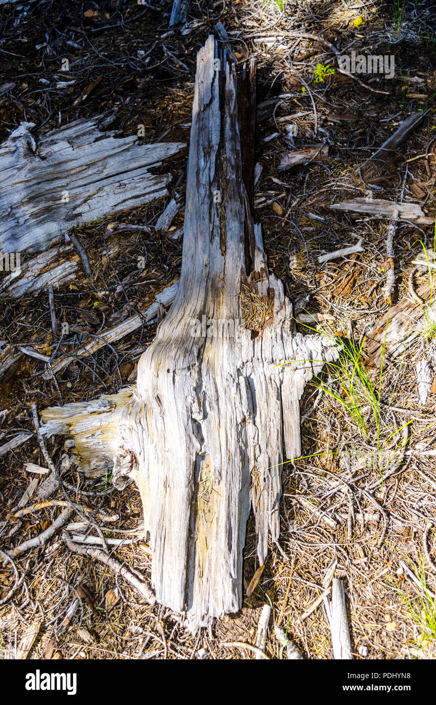 L'Est de la Sierra Nevada en Californie USA Banque D'Images