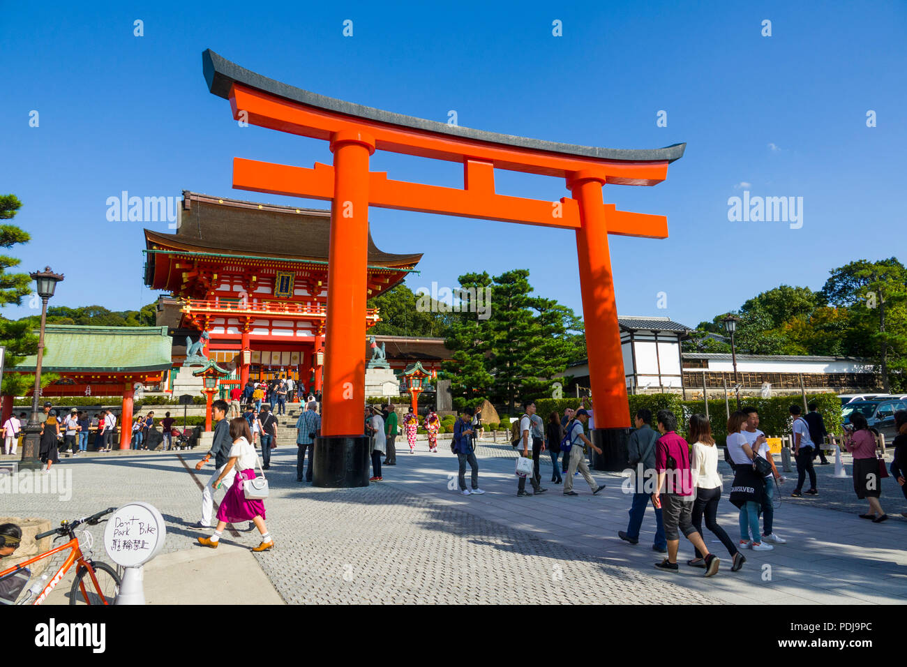 Torii du Sanctuaire Shinto du Japon, près de Kyoto Banque D'Images