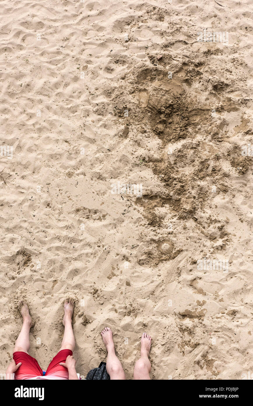 Une vue de dessus les jambes de vacanciers assis sur une plage de sable. Banque D'Images
