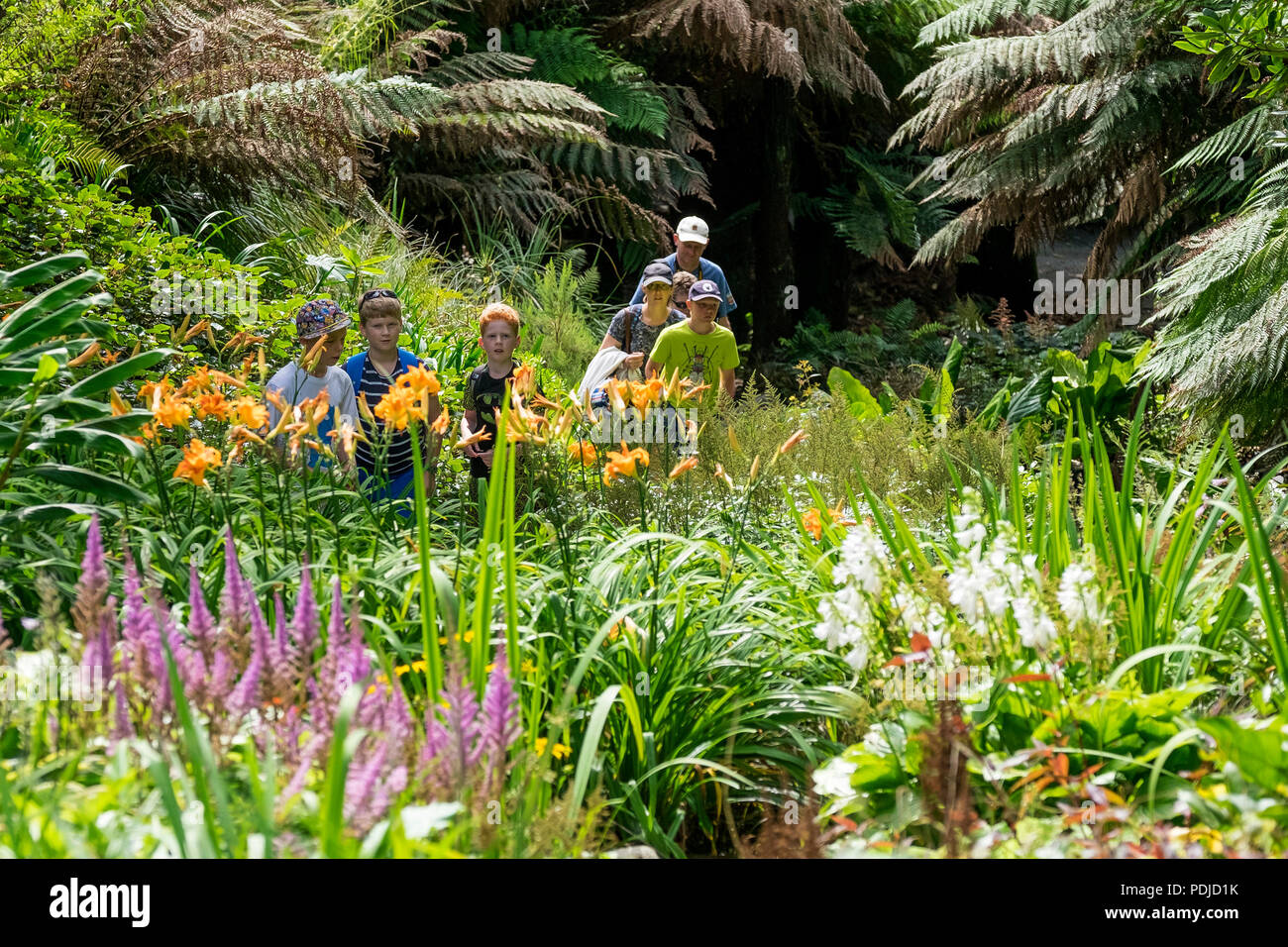 Une famille de touristes marchant à travers la végétation luxuriante dans le jardin Trebah sub-tropical à Cornwall. Banque D'Images