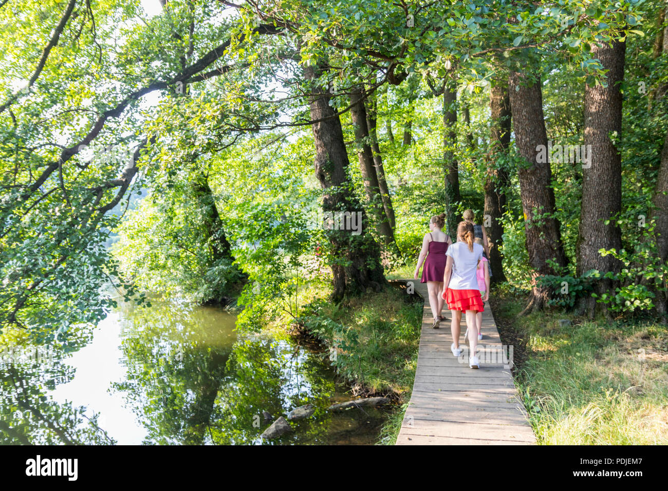 La famille des gens marcher, wooden path, dans une forêt près du lac, Origlio, Suisse, Europe Banque D'Images