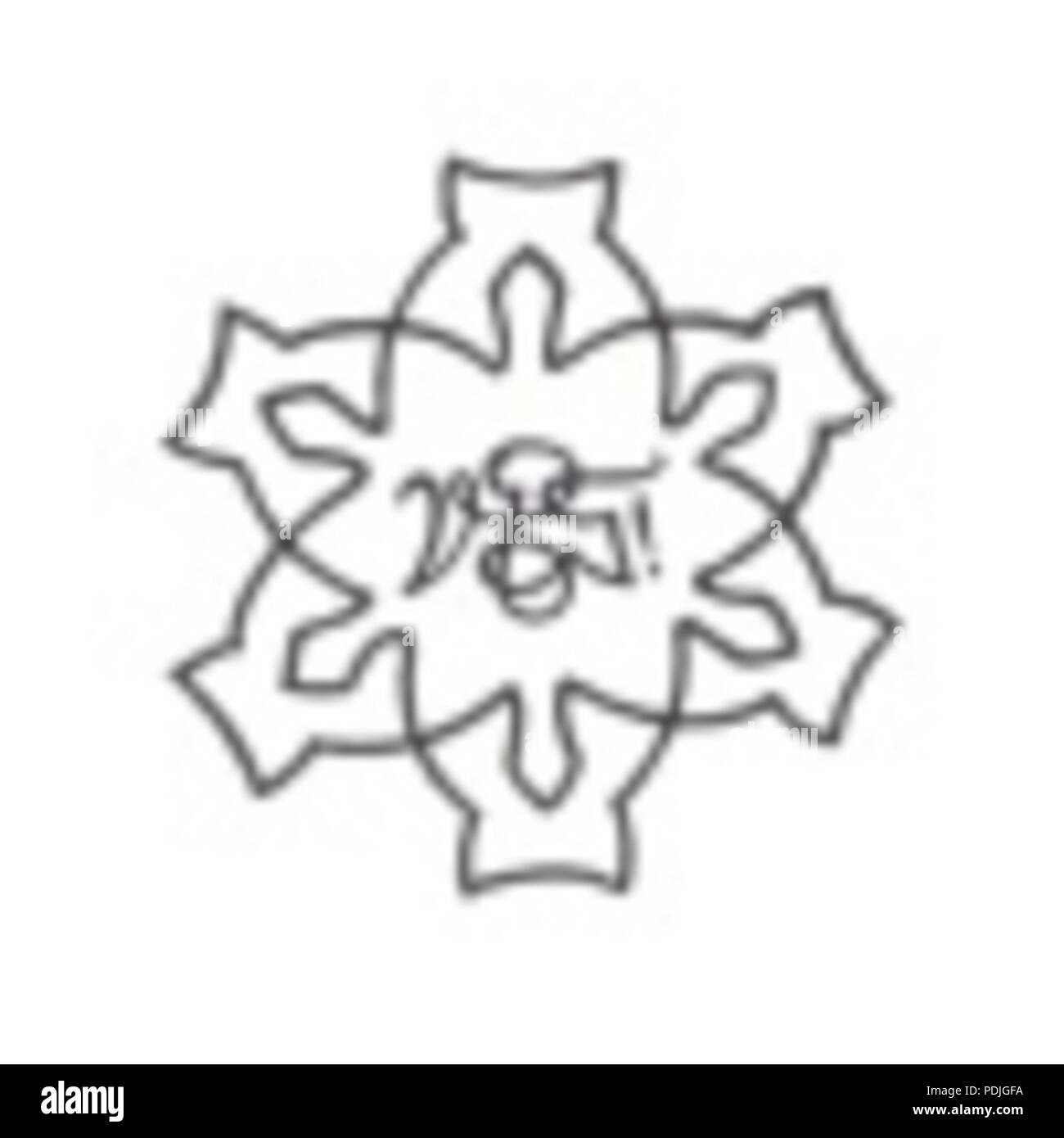 Der Stern 345 Tervetia Banque D'Images