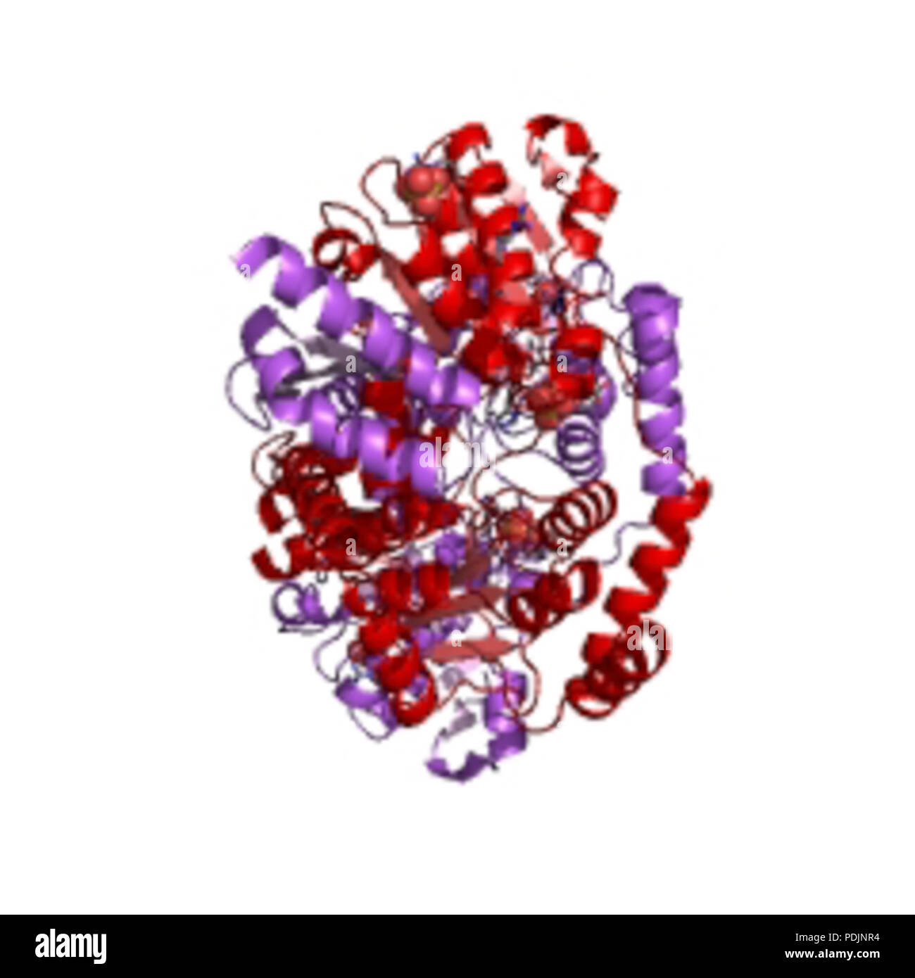 1 1k75 Banque D'Images