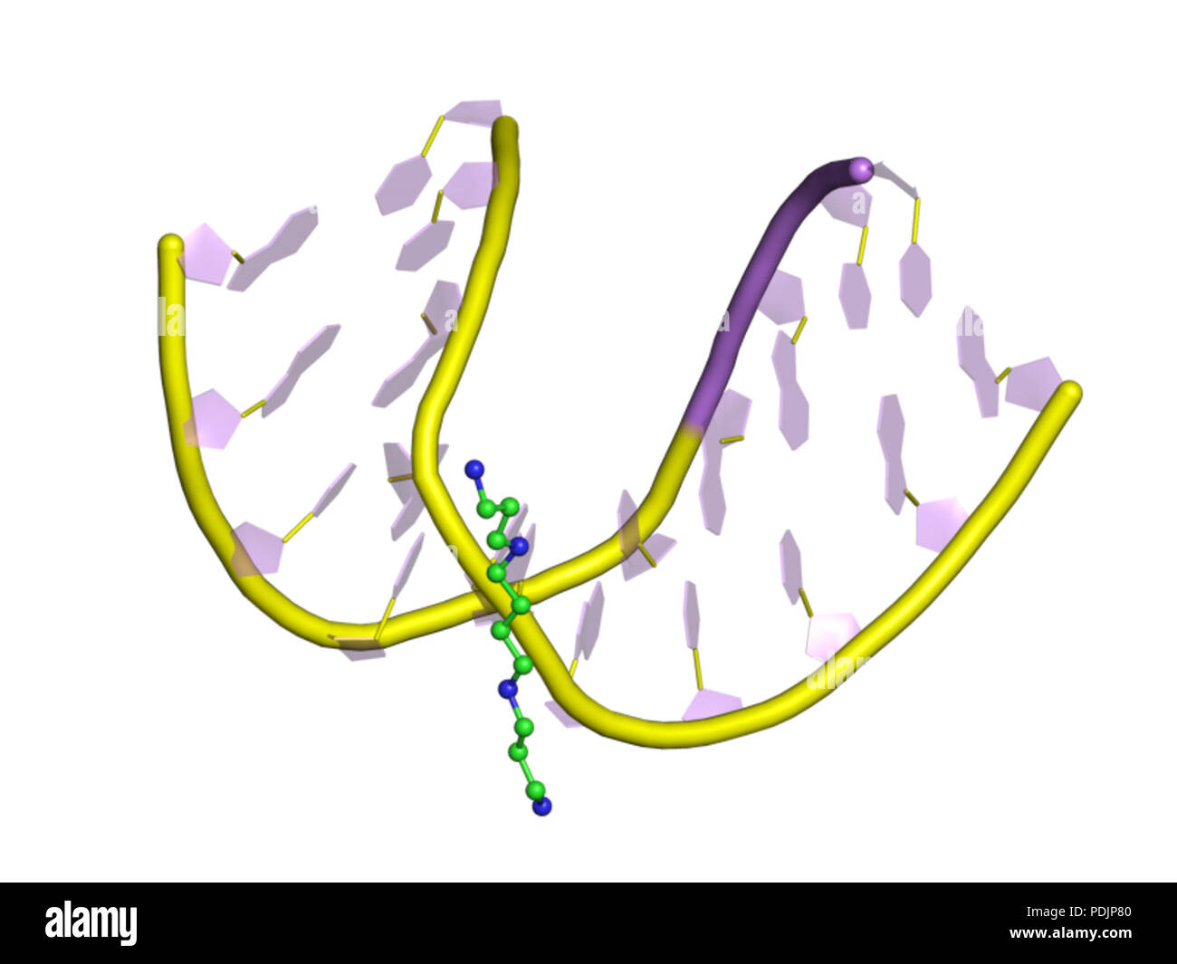 EBI 100d'APB 3 Banque D'Images