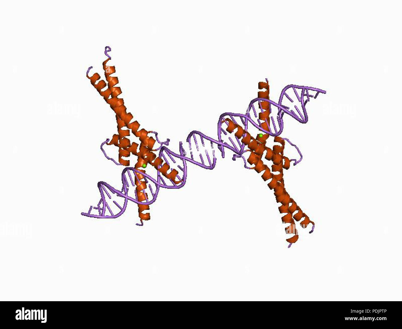 8 PDB 1am9 EBI Banque D'Images