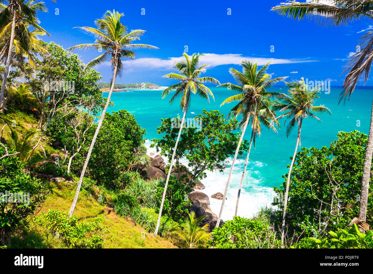 Belle plage de Sri Lanka,avec vue sur la mer d'azur et de palmiers. Banque D'Images