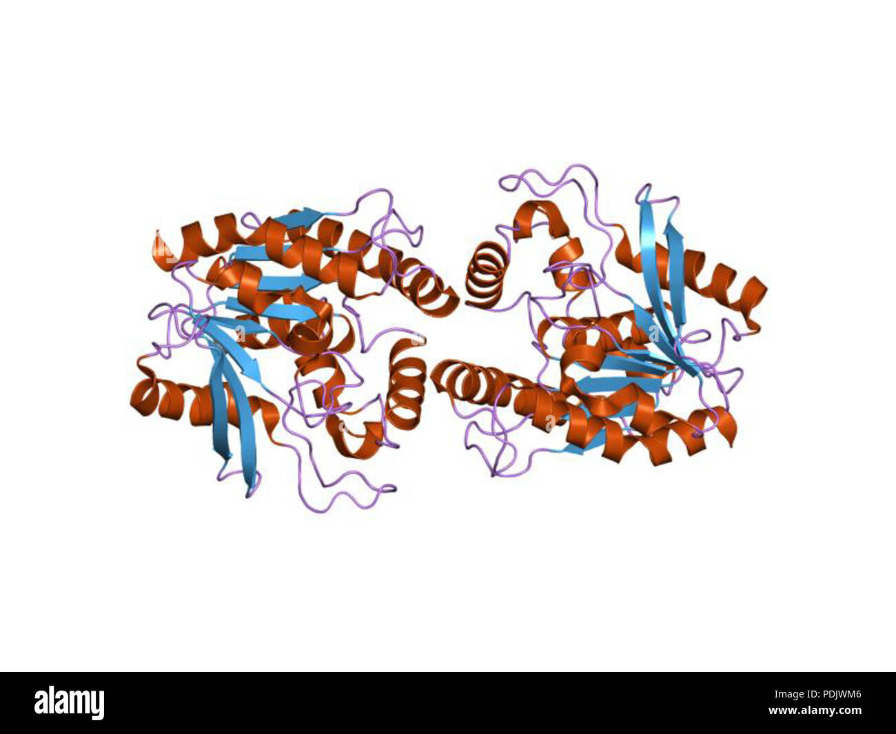 26 PDB 1EBI dqz Banque D'Images