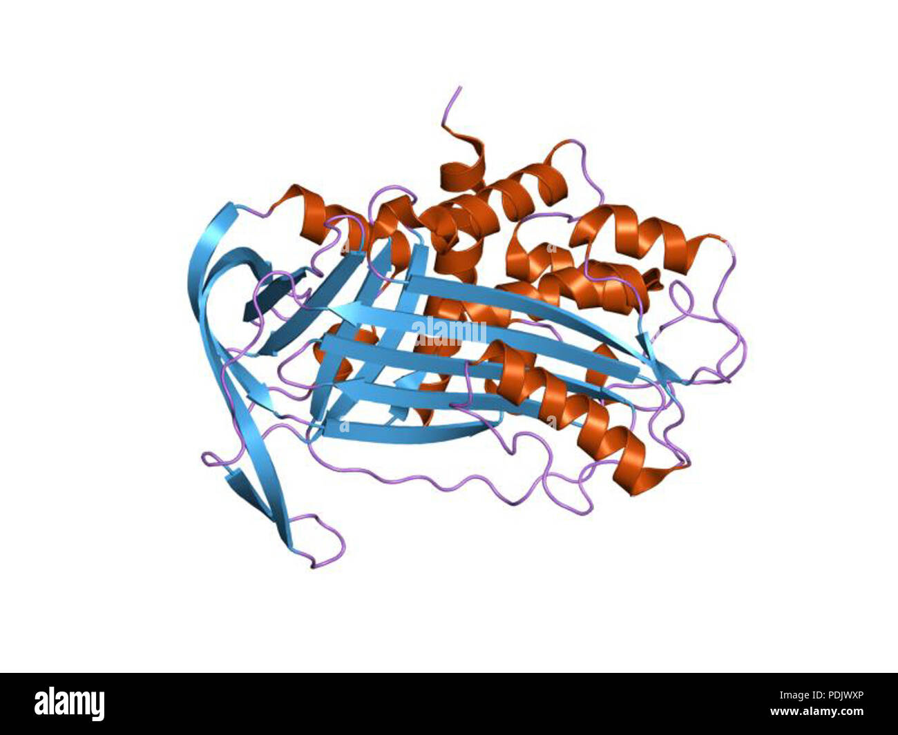 26 PDB 1DVN EBI Banque D'Images
