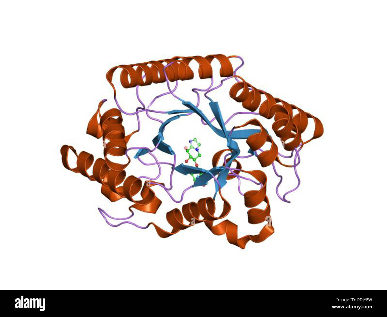 36 PDB 1fhd EBI Banque D'Images