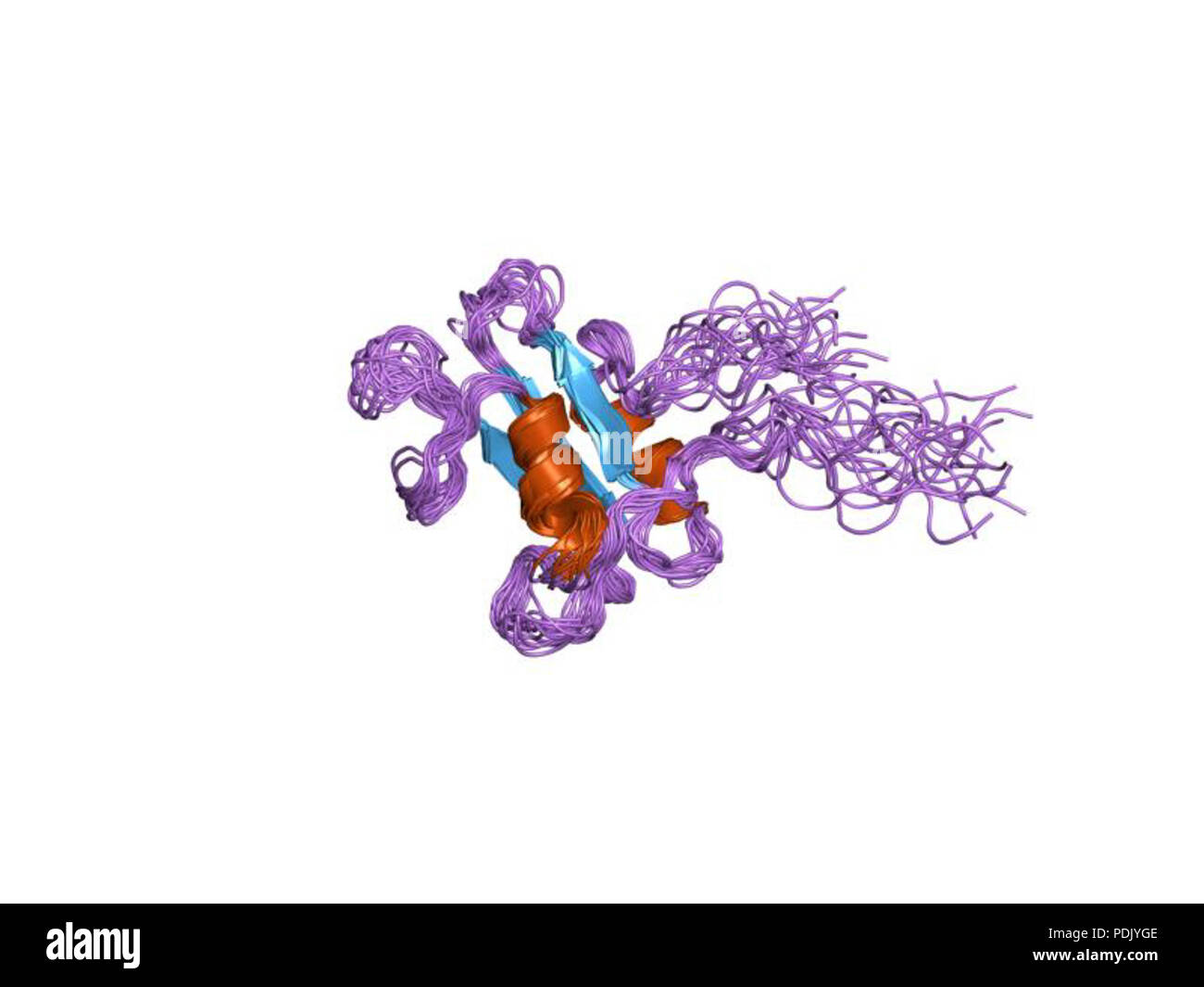 36 PDB 1EBI fhs Banque D'Images