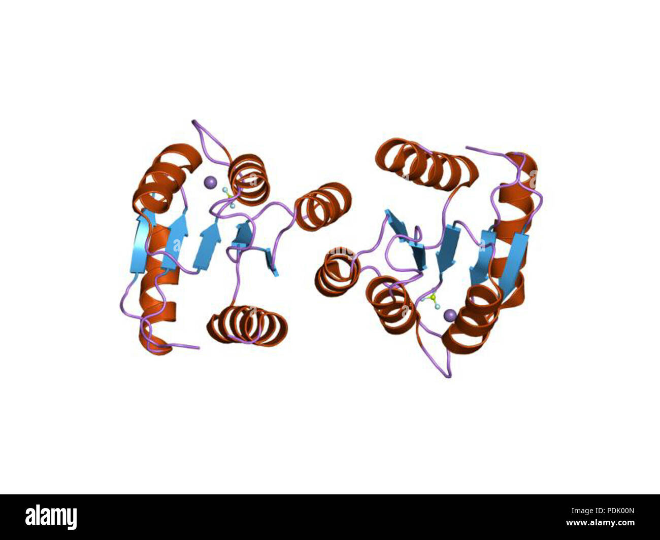 38 PDB 1fqw EBI Banque D'Images