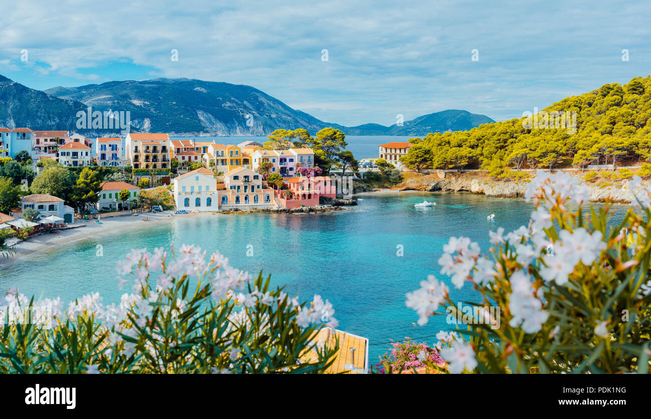 Vue panoramique d'Assos village de Kefalonia, Grèce. Fleur blanche lumineuse en premier plan de la baie calme turquoise de la Méditerranée et de belles maisons colorées en arrière-plan Banque D'Images