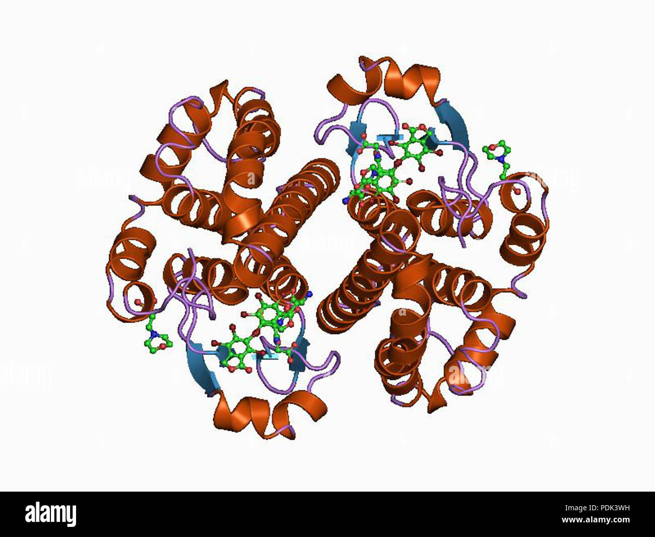 4 PDB 19gs EBI Banque D'Images