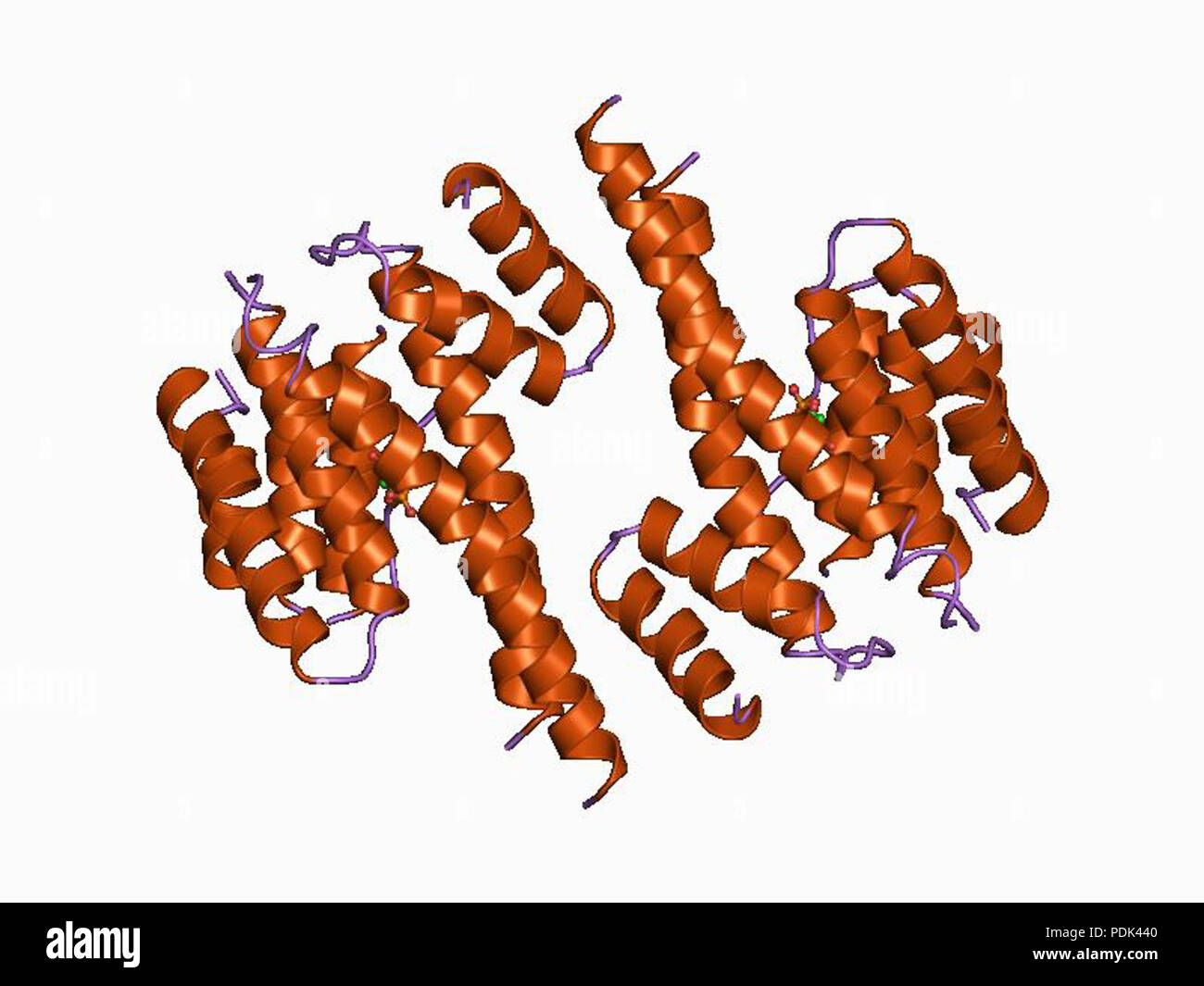 5 PDB 1a37 EBI Banque D'Images