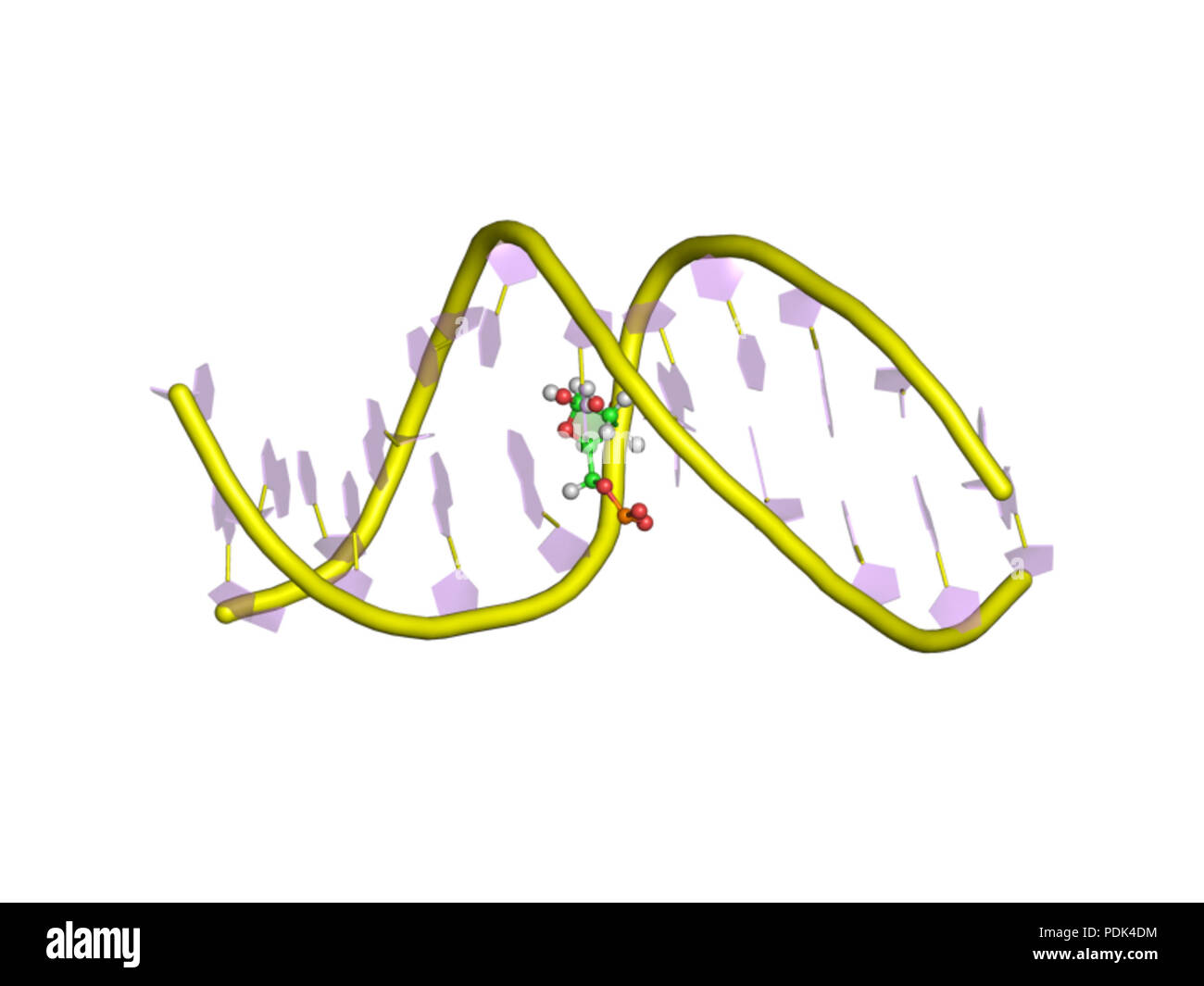 6 PDB 1a9h EBI Banque D'Images