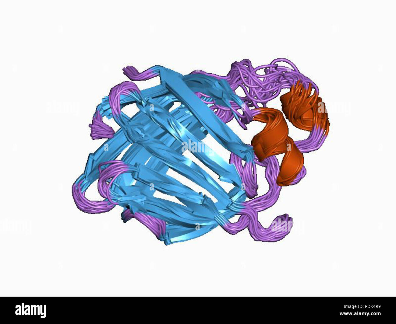 6 PDB 1AEL EBI Banque D'Images