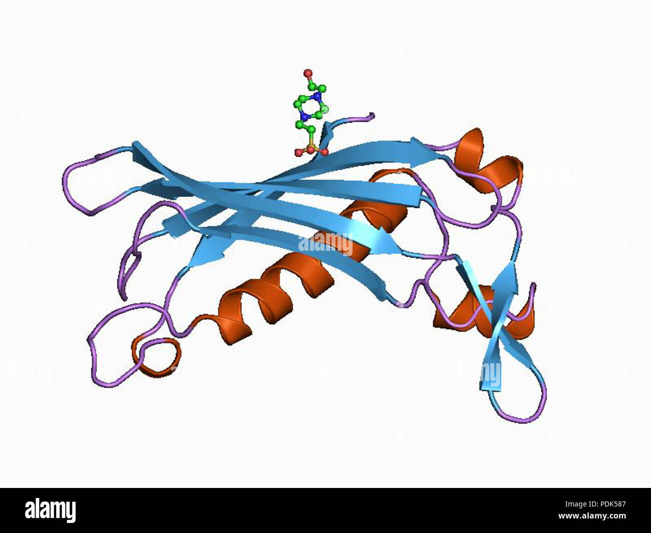 15 PDB 1EBI bvq Banque D'Images