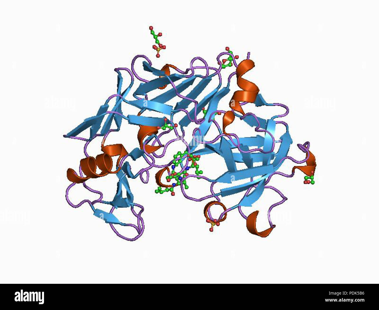 15 PDB 1bxq EBI Banque D'Images
