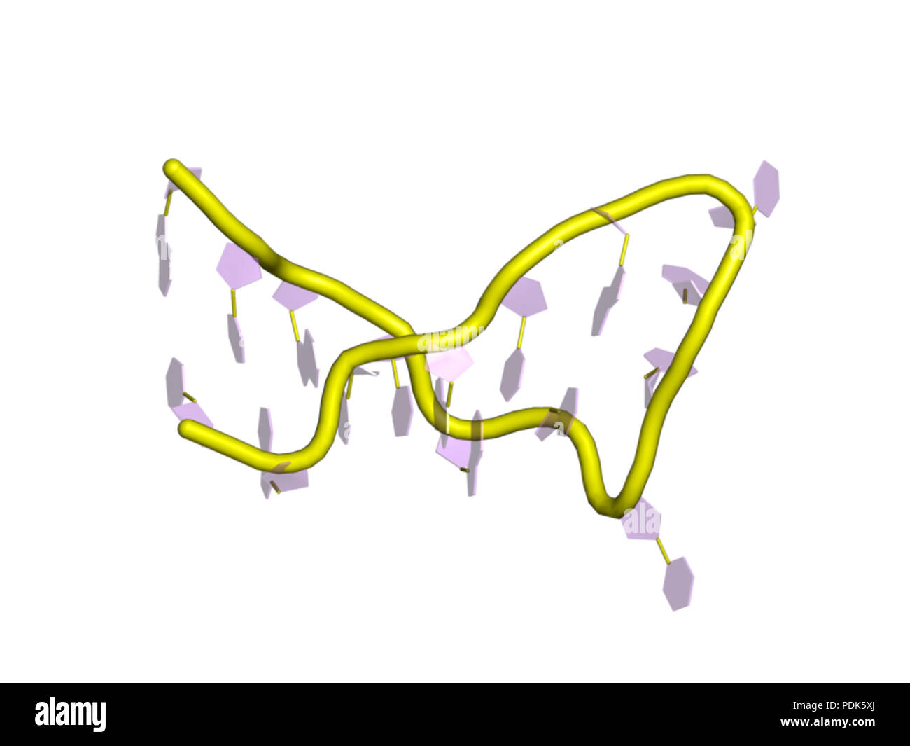 22 PDB 1d16 EBI Banque D'Images